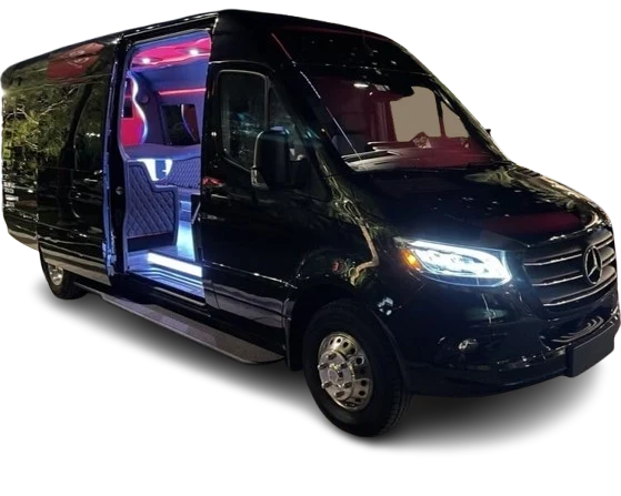 Sprinter Van VIP